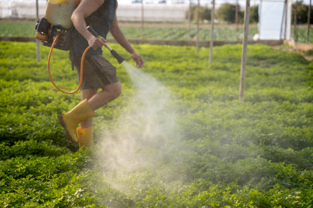 Best Affordable Pest Control Services  in La Grange, KY