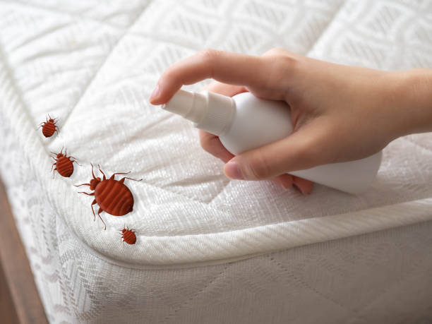 Best Flea Control Services  in La Grange, KY