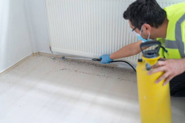 Best Exterminator Services  in La Grange, KY