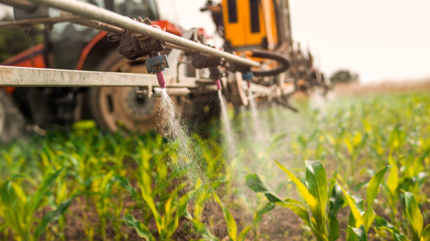 Reliable La Grange, KY Pest Control Solutions
